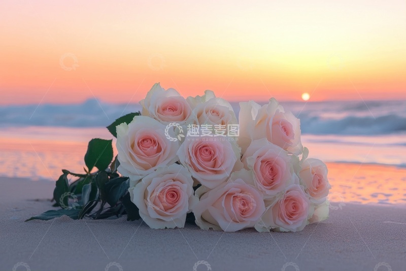 高清大图下载【趣麦麦图】大海海滩边的一束粉色玫瑰花