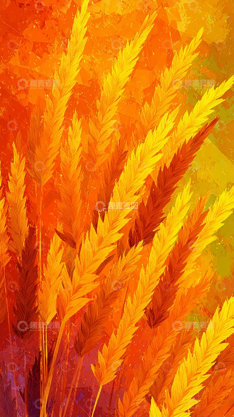 高清大图下载【趣麦麦图】金秋麦穗摇曳生姿