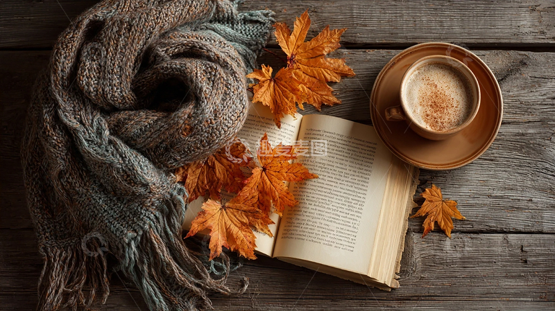 高清大图下载【趣麦麦图】落叶与咖啡的诗意邂逅
