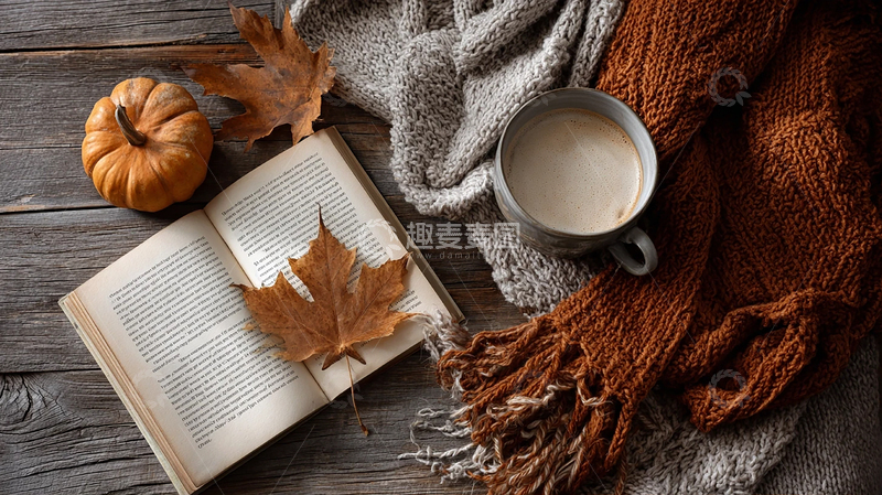 高清大图下载【趣麦麦图】秋日沉思：书页与叶的温柔邂逅