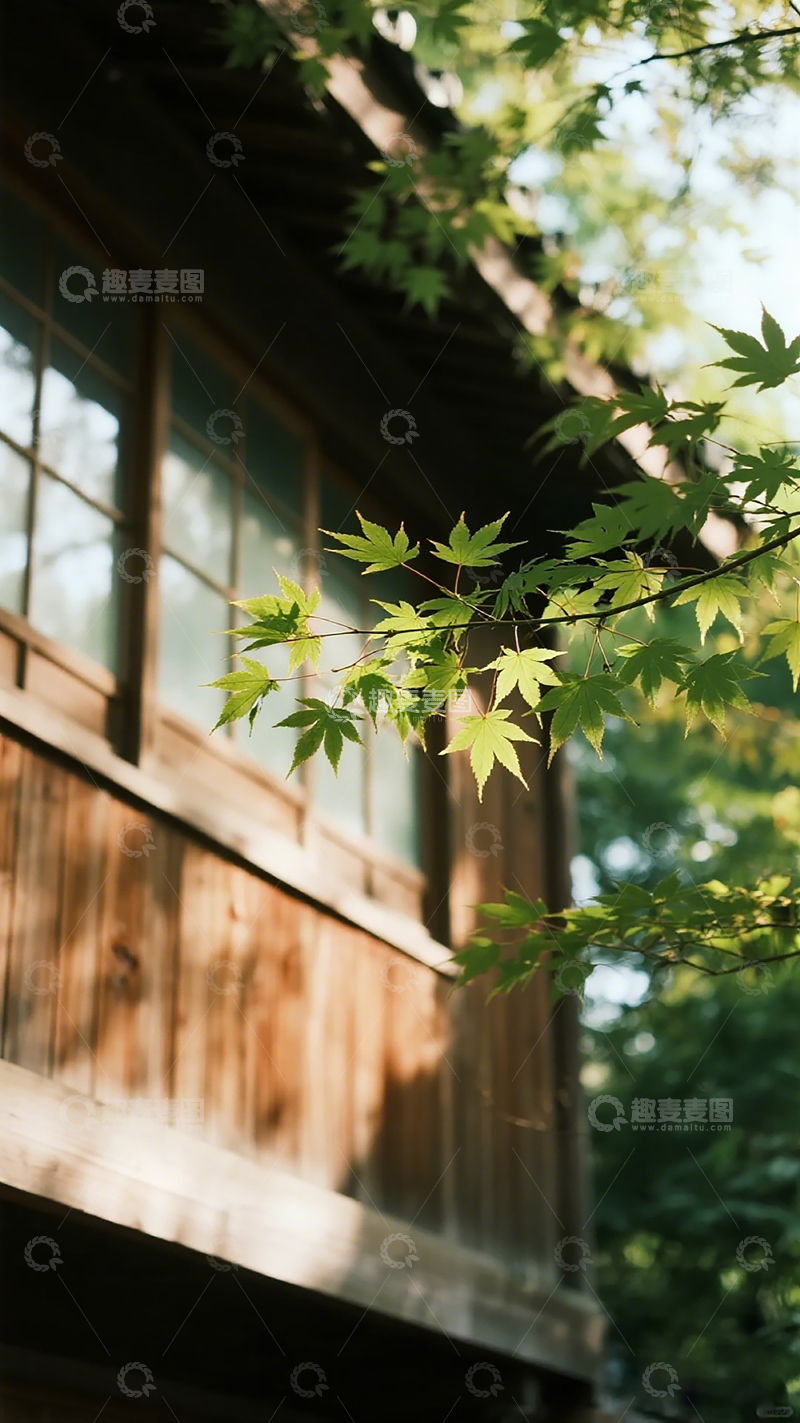 高清大图下载【趣麦麦图】日式木屋绿叶风景
