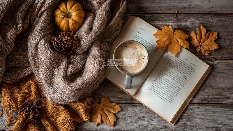 高清大图下载【趣麦麦图】秋日静谧的咖啡时光