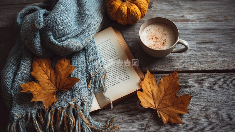 高清大图下载【趣麦麦图】落叶书香与咖啡的邂逅