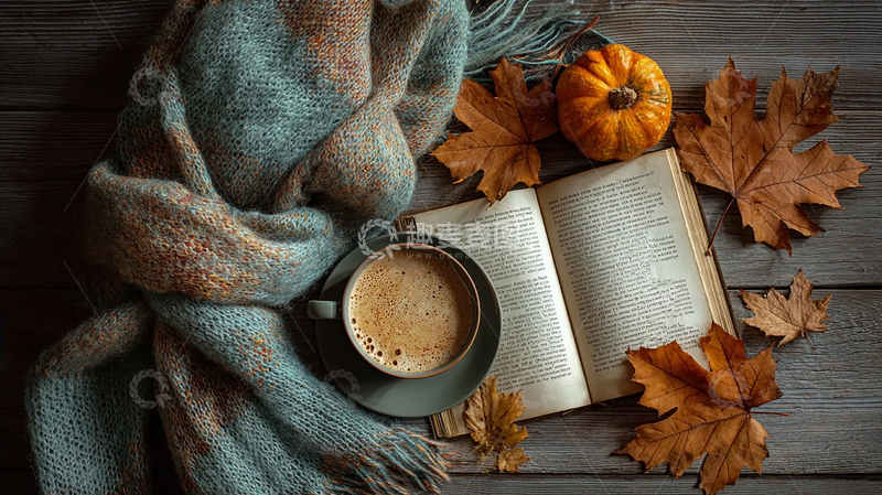 高清大图下载【趣麦麦图】秋日暖心阅读时光