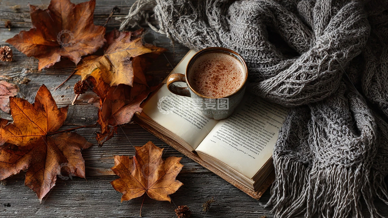 高清大图下载【趣麦麦图】落叶书香与暖意交融