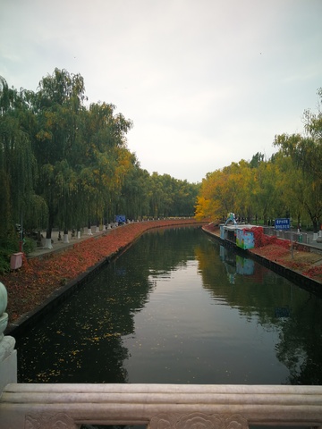 秋日运河风光