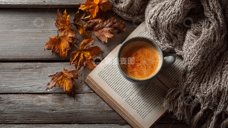 高清大图下载【趣麦麦图】暖意浓浓的秋日午后