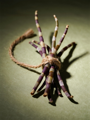 食材静物商业摄影风格石斛1