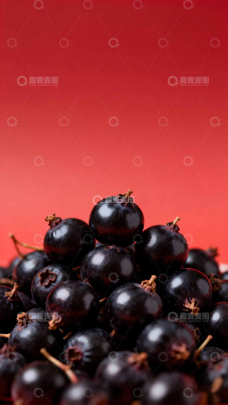 高清大图下载【趣麦麦图】红背景黑加仑水果特写