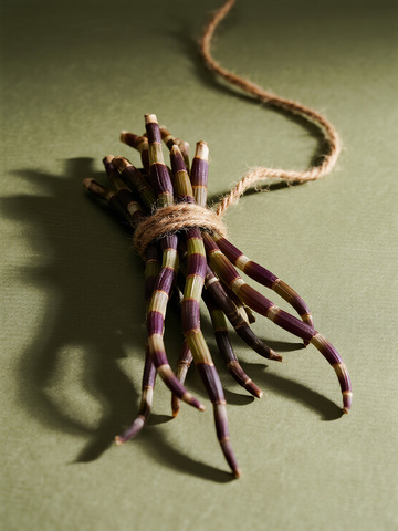 食材静物商业摄影风格石斛4