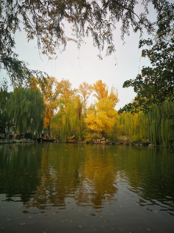 秋日湖畔风景摄影