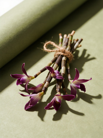 食材静物商业摄影风格石斛2