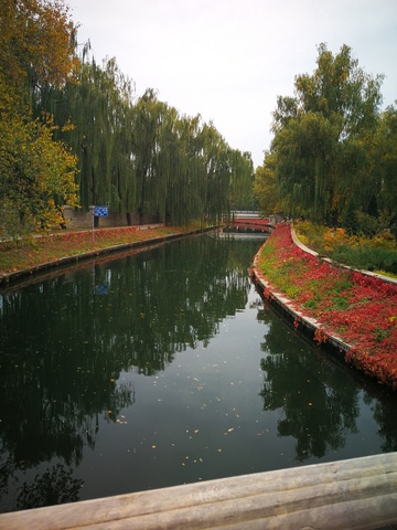 秋意运河景观