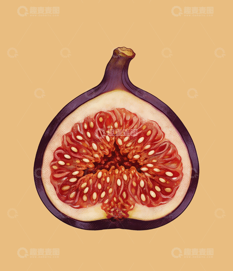 源文件下载【趣麦麦图】剖开的紫色无花果1