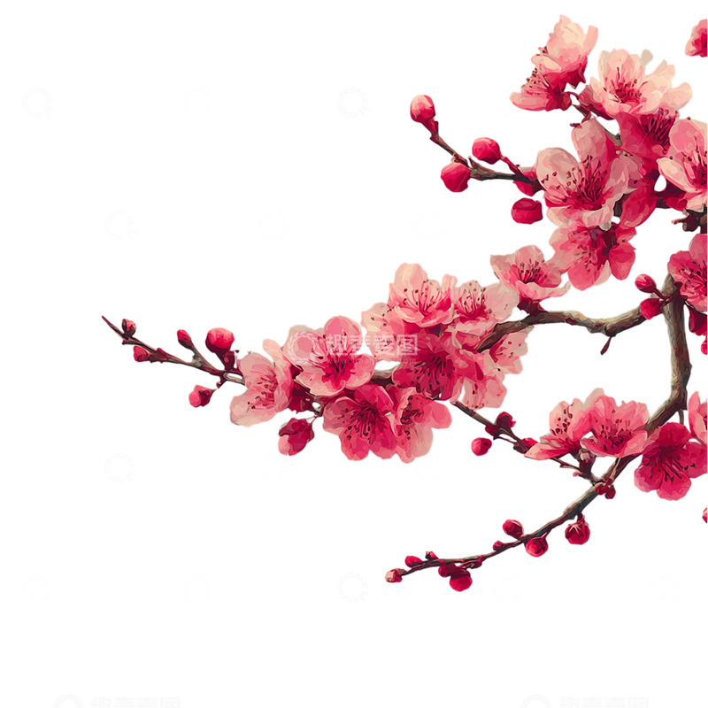 高清大图下载【趣麦麦图】春日樱花梦幻绽放