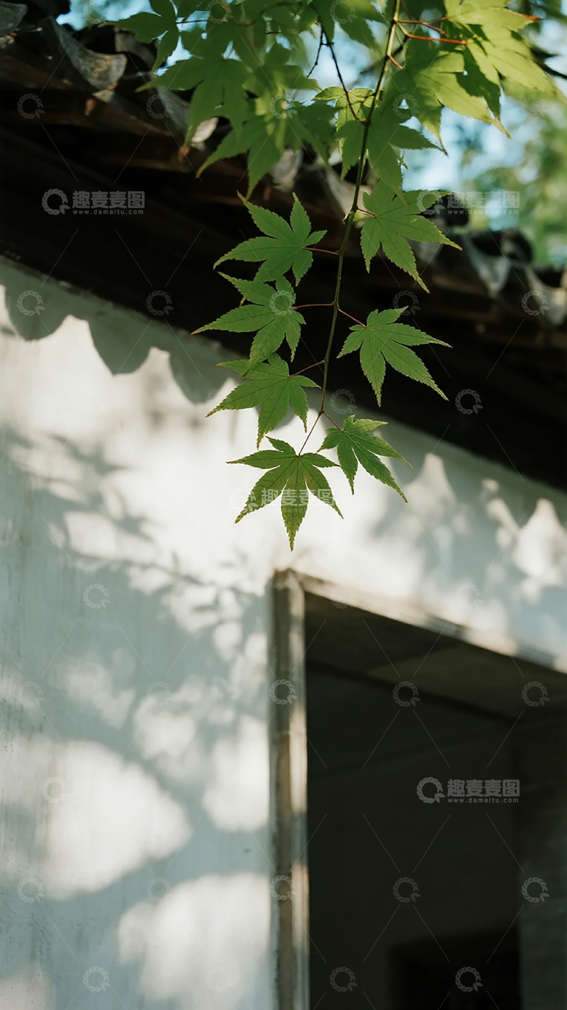 高清大图下载【趣麦麦图】古风枫叶建筑光影摄影