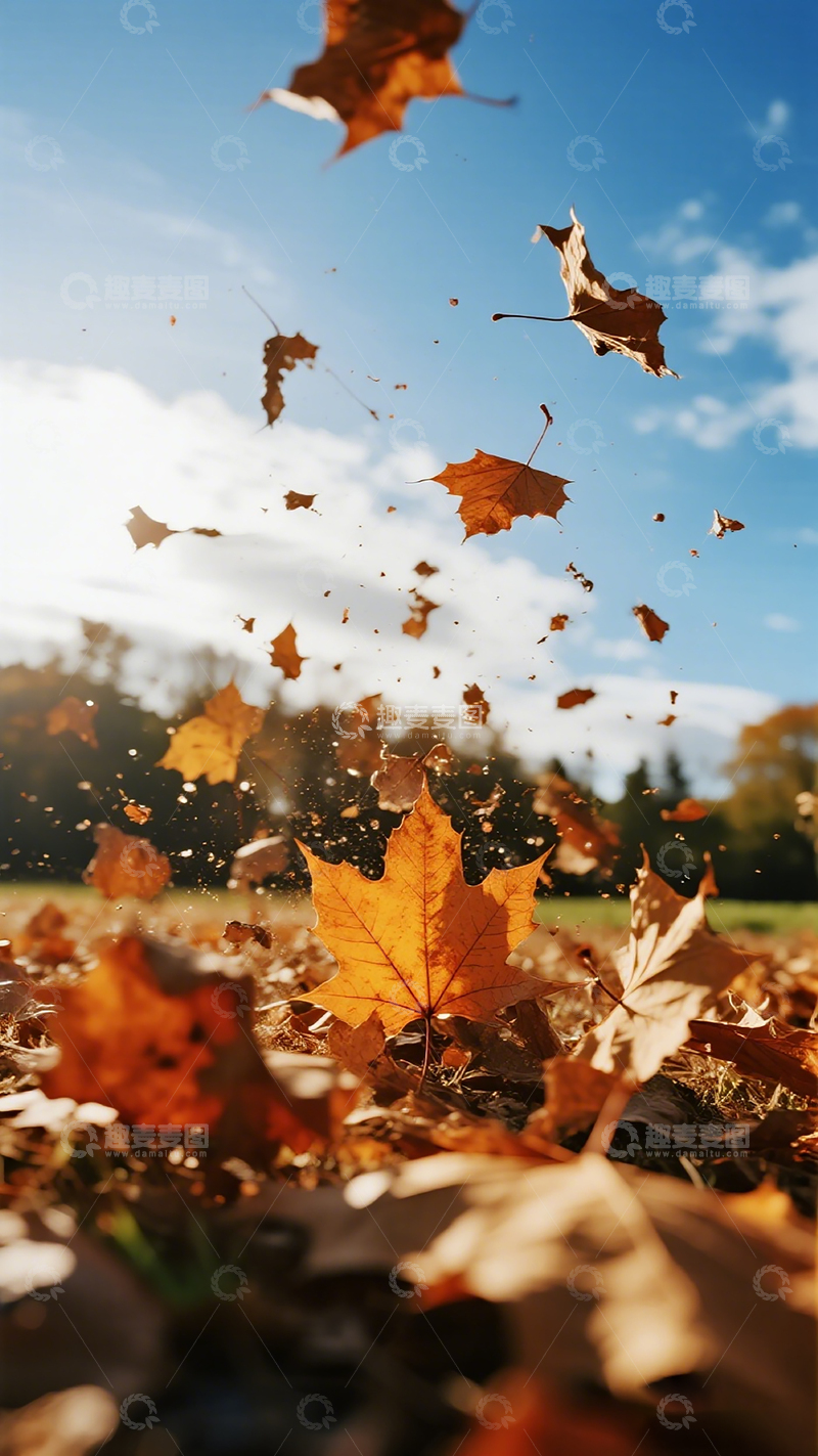 高清大图下载【趣麦麦图】秋叶飘落风景摄影