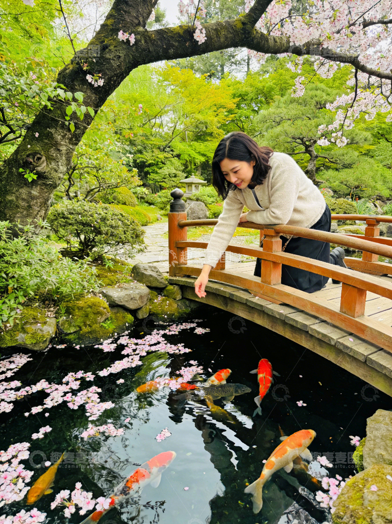 高清大图下载【趣麦麦图】日式庭院锦鲤观赏图