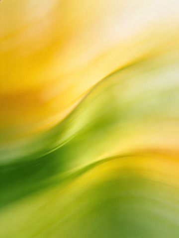 春日氛围感背景