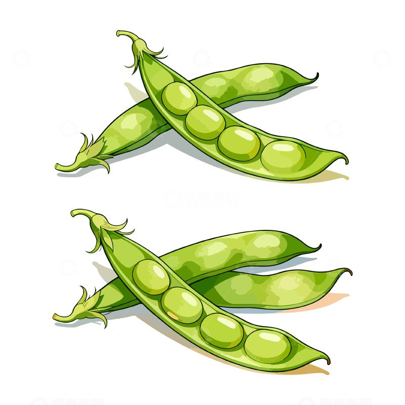 源文件下载【趣麦麦图】卡通豌豆矢量插画素材