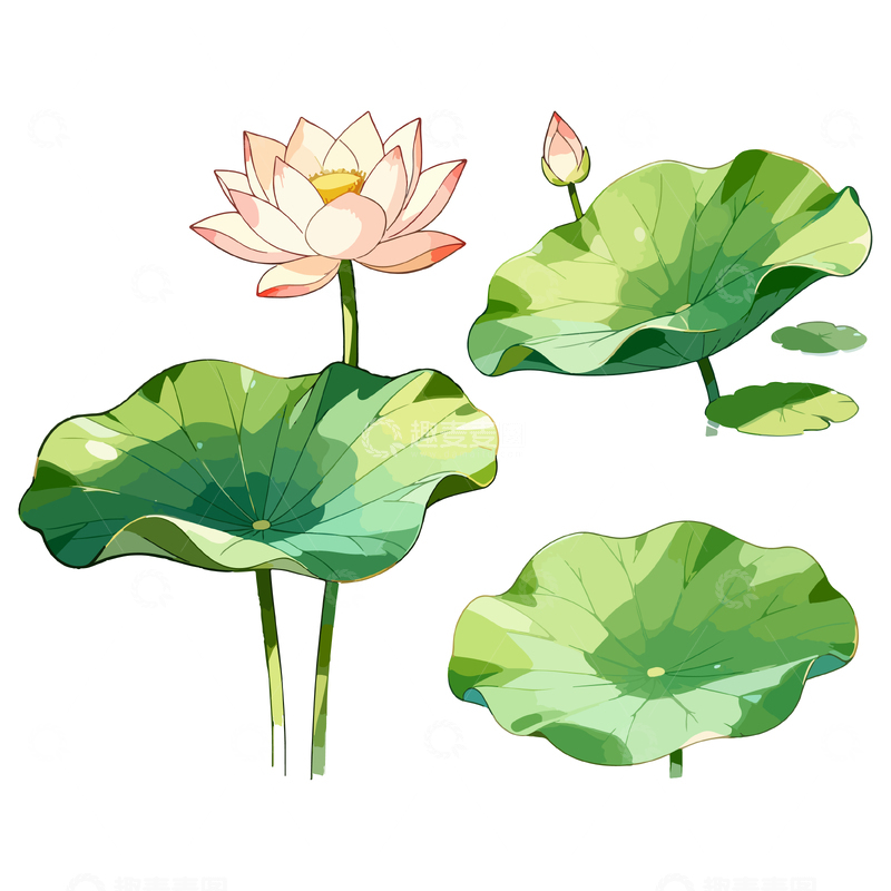 源文件下载【趣麦麦图】插画风格荷花荷叶元素设计素材