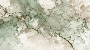 细腻裂纹之上的岁月痕迹