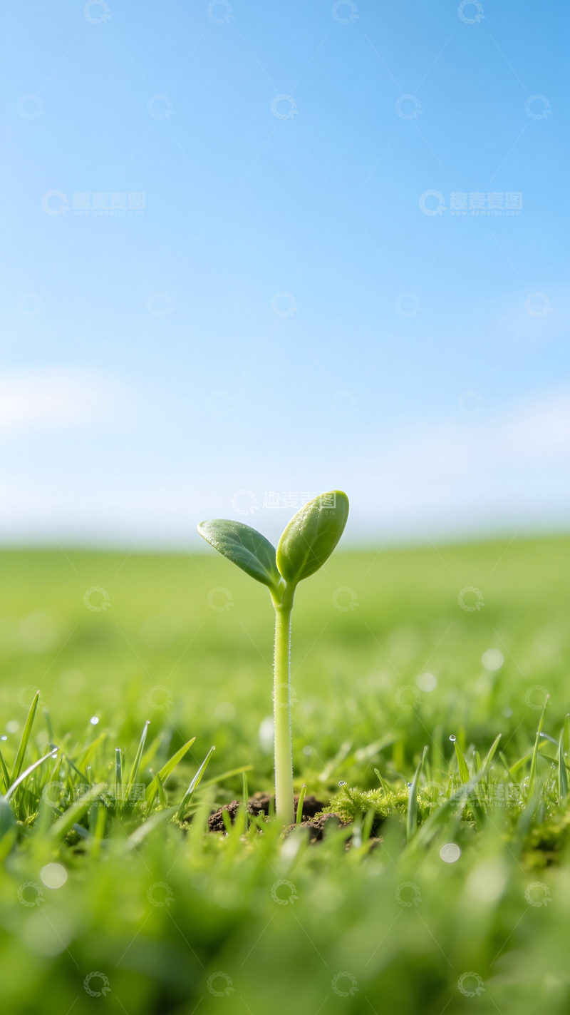 高清大图下载【趣麦麦图】嫩芽蓝天绿草地生机盎然