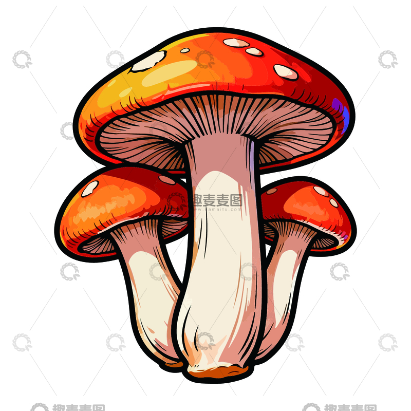 源文件下载【趣麦麦图】手绘蘑菇插画素材2
