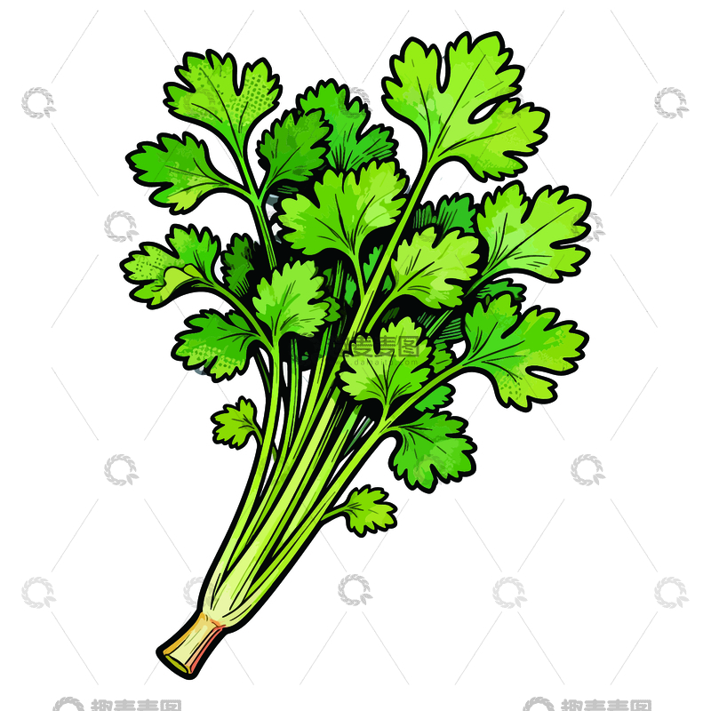 源文件下载【趣麦麦图】卡通风格香菜插画设计元素