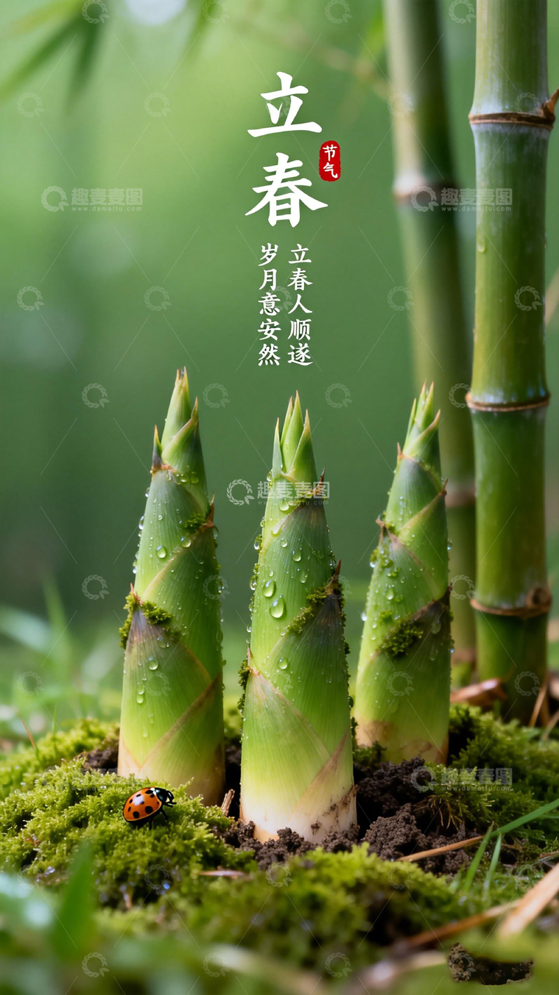 高清大图下载【趣麦麦图】立春节气竹笋自然风景图