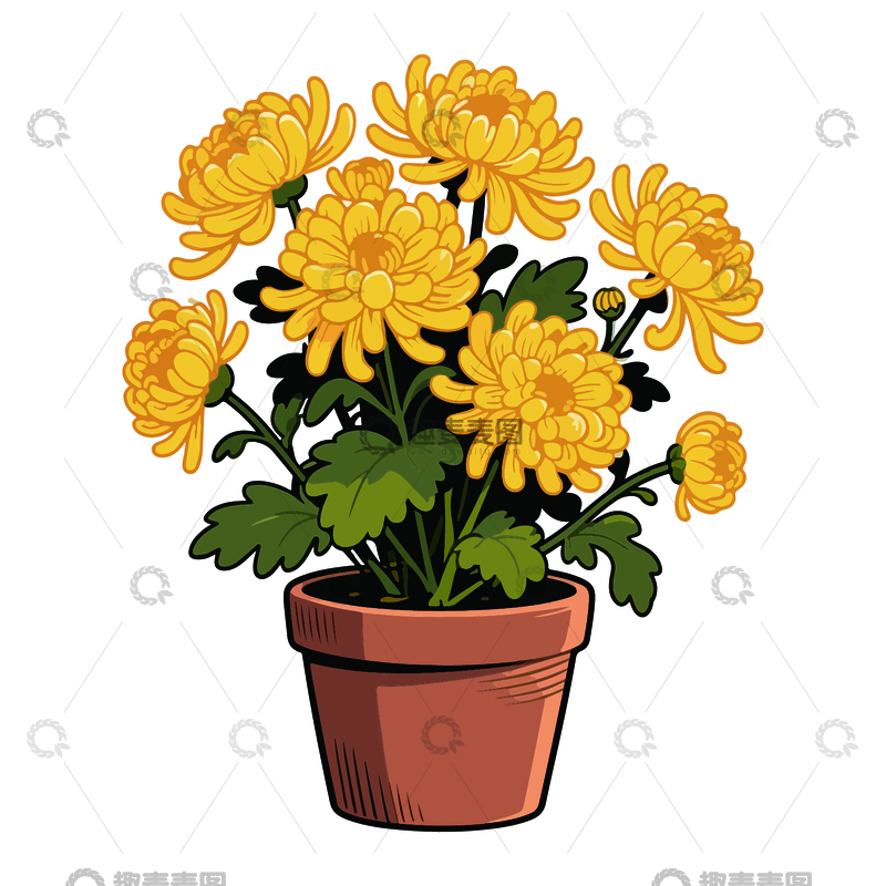 源文件下载【趣麦麦图】卡通菊花盆栽插画设计素材