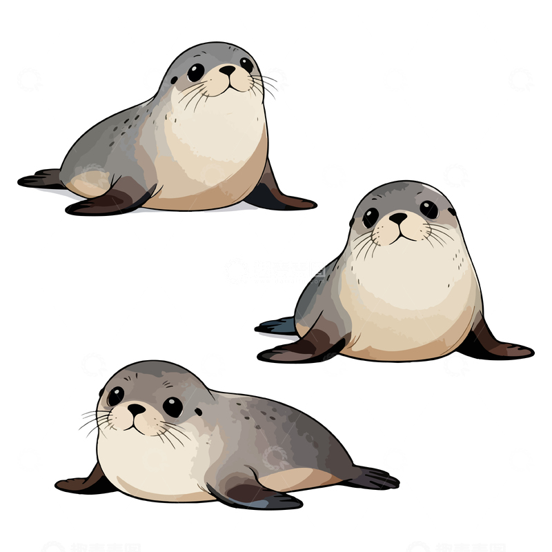 源文件下载【趣麦麦图】卡通海豹矢量图素材
