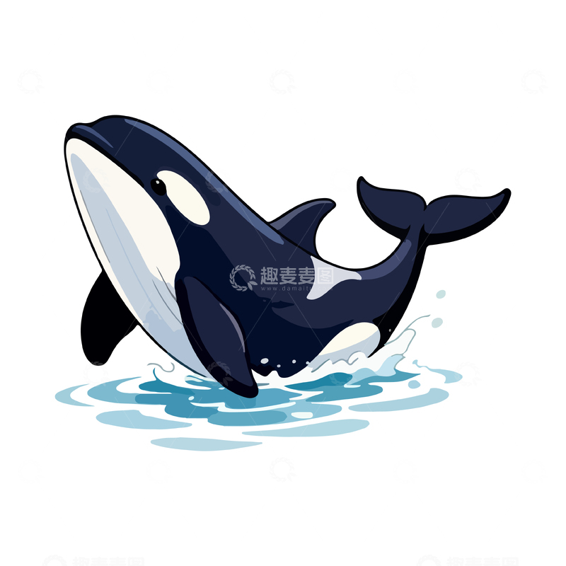 源文件下载【趣麦麦图】卡通虎鲸跃出水面插画