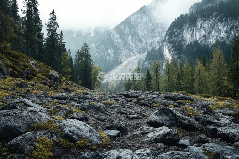 高清大图下载【趣麦麦图】森林大山自然美景
