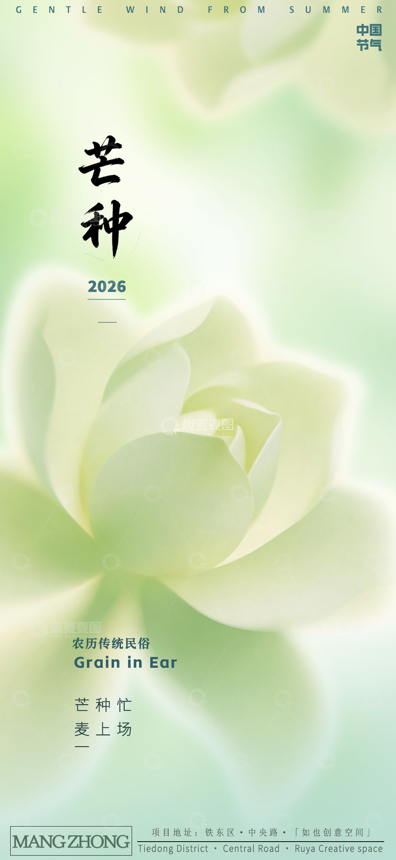 源文件下载【趣麦麦图】芒种节气花韵海报