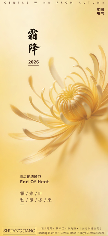 秋菊霜降海报设计