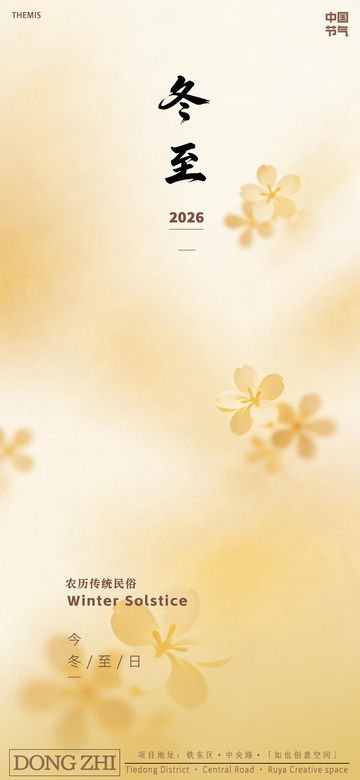 淡雅冬至节雪花梅花设计海报