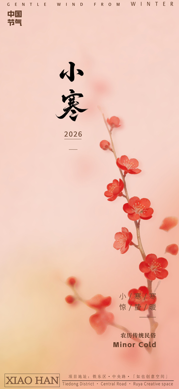 淡雅梅花小寒节气海报