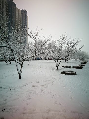 冬日雪景城市公园