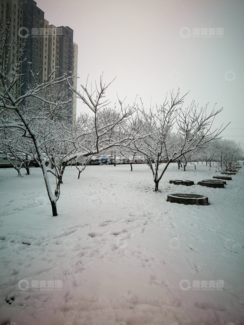 高清大图下载【趣麦麦图】冬日雪景城市公园