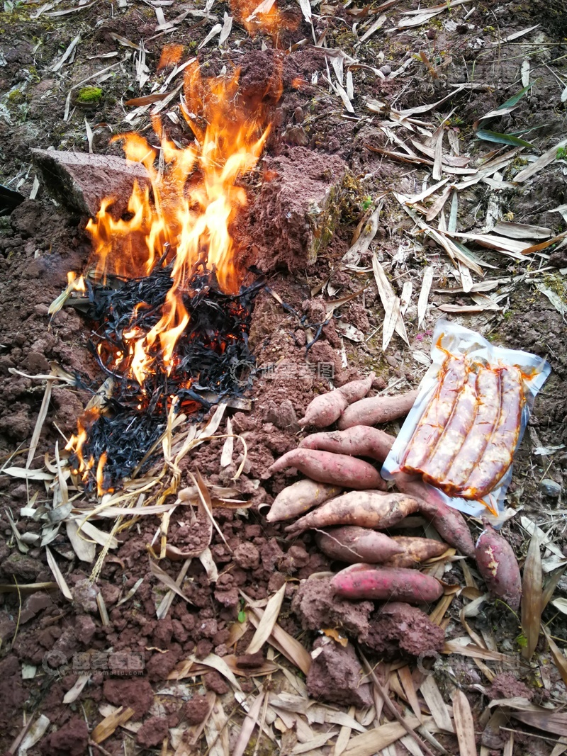 高清大图下载【趣麦麦图】野外烤红薯野餐