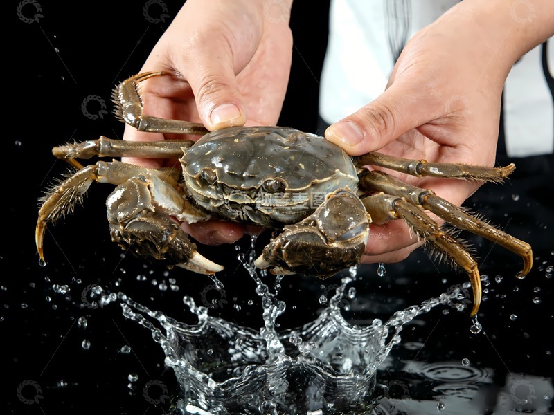 高清大图下载【趣麦麦图】螃蟹阳澄湖大闸蟹