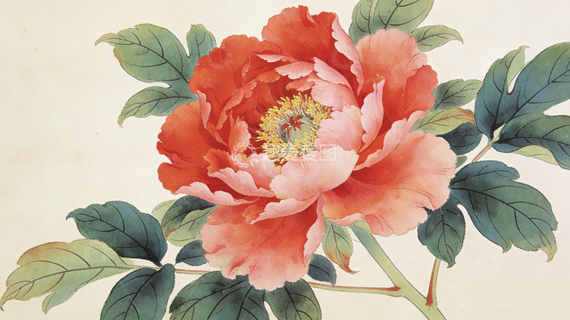 高清大图下载【趣麦麦图】水彩画牡丹花装饰画素材