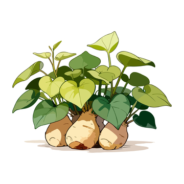 卡通手绘红薯植物插画