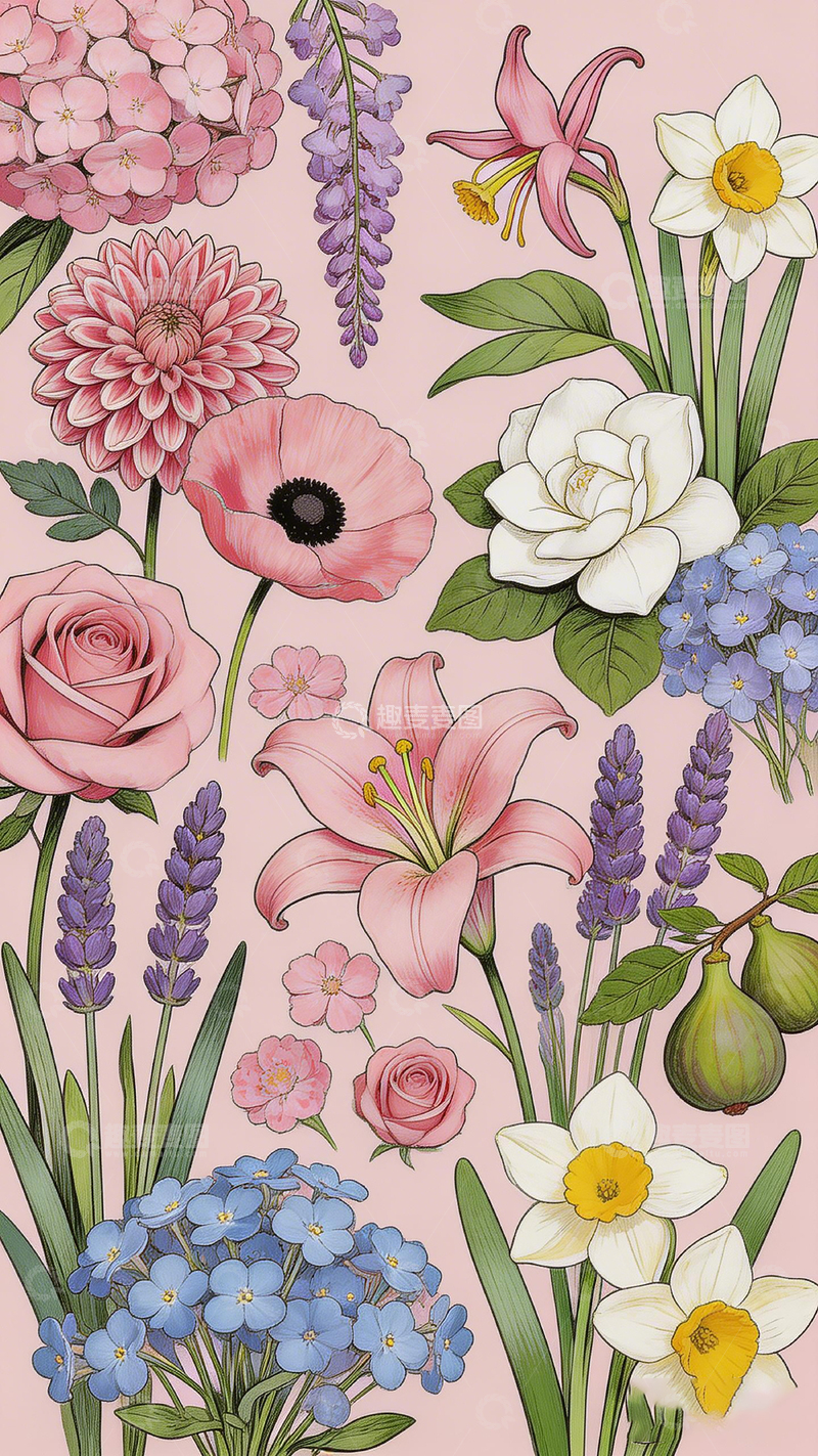 高清大图下载【趣麦麦图】浪漫花卉插画设计素材