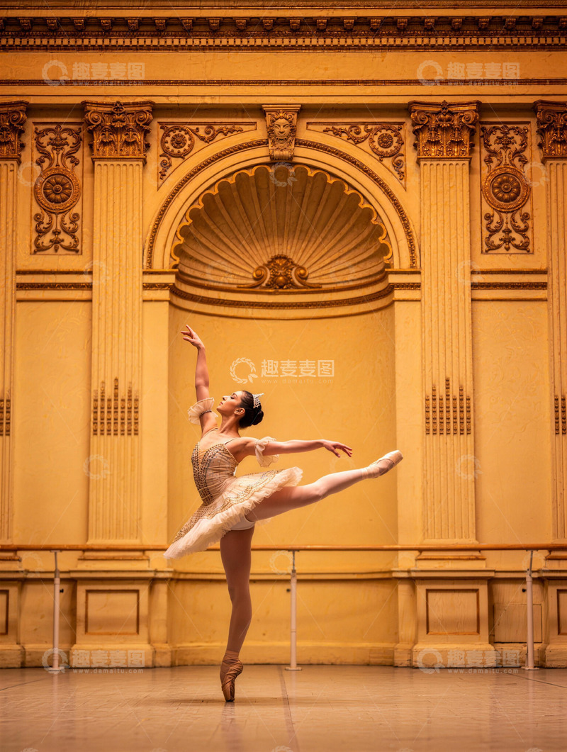 高清大图下载【趣麦麦图】芭蕾舞者舞台艺术摄影