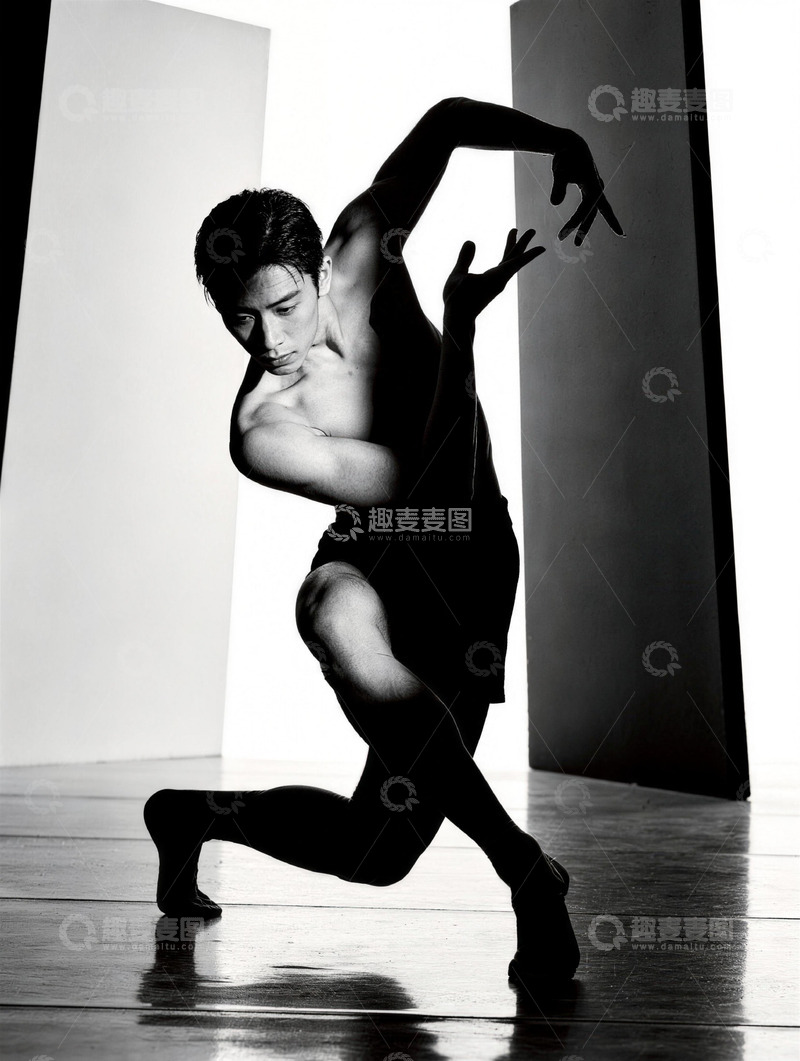 高清大图下载【趣麦麦图】黑白舞影艺术照