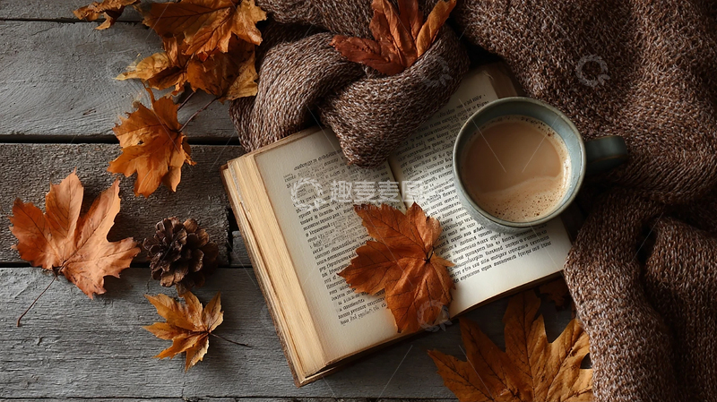 高清大图下载【趣麦麦图】秋日暖阳中的静谧阅读时光