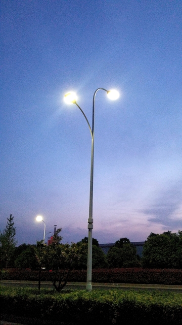 路灯灯柱柱子绿化带树木树丛