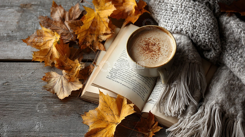 高清大图下载【趣麦麦图】秋日温馨的书香时光